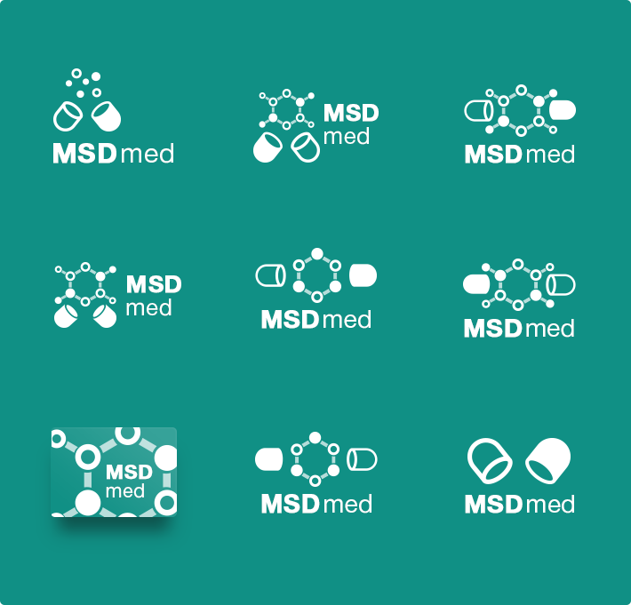 msd_logo_screenshot_004